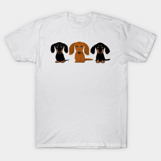 Three Doxies T-Shirt by Coffee Squirrel